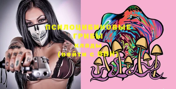 шишки Наволоки